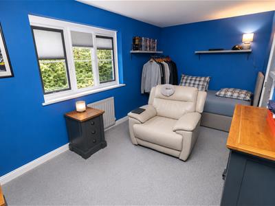 Picture 11